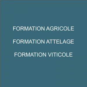 FORMATION A DOMICILE POUR LES PROPRIETAIRES D'ANES