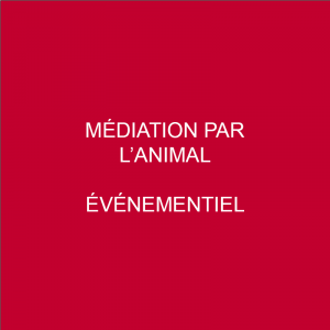 Evènements