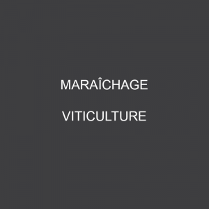 Travail en vigne et maraîchage