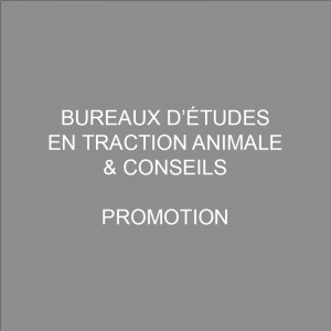 ETUDES et CONSEILS