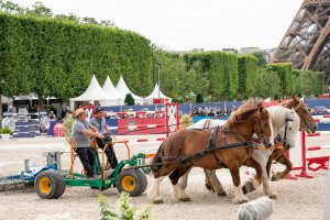 Bilan Longines Paris Eiffel Jumping