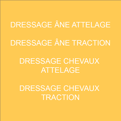 Valorisation et revente de chevaux destinés à être montés ou attelés.