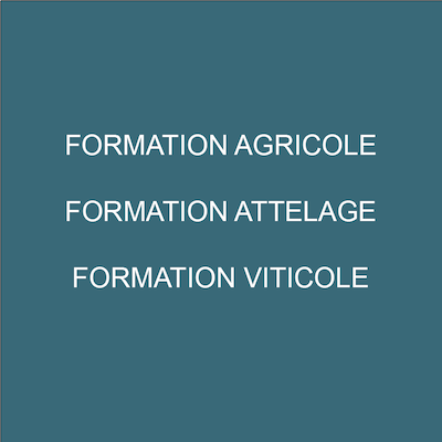 Formations au travail agricole avec ânes, chevaux ou bovins