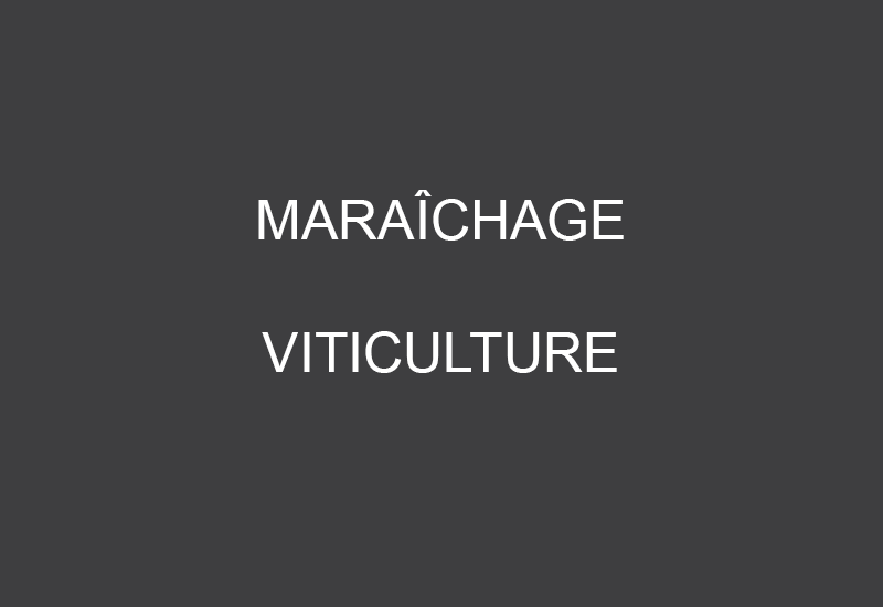 Travail en vigne et maraîchage