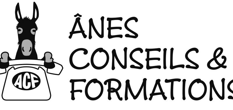 ANES CONSEILS et FORMATION