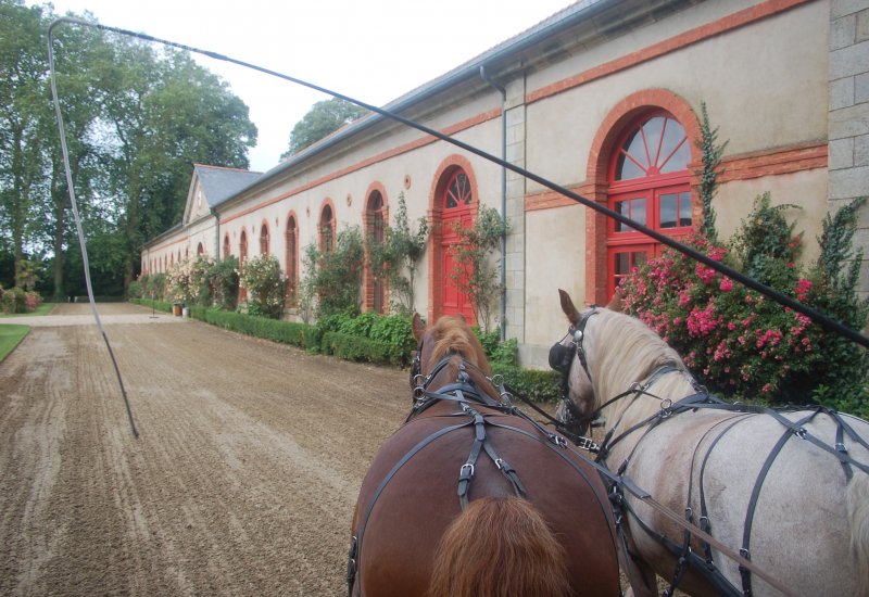 Centre de formation  Attelage Ar Maner