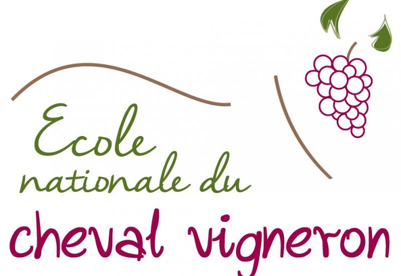 ECOLE NATIONALE DU CHEVAL VIGNERON