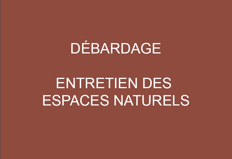 Intervention en milieu naturels et forestiers