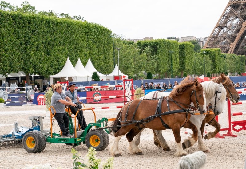 Bilan Longines Paris Eiffel Jumping