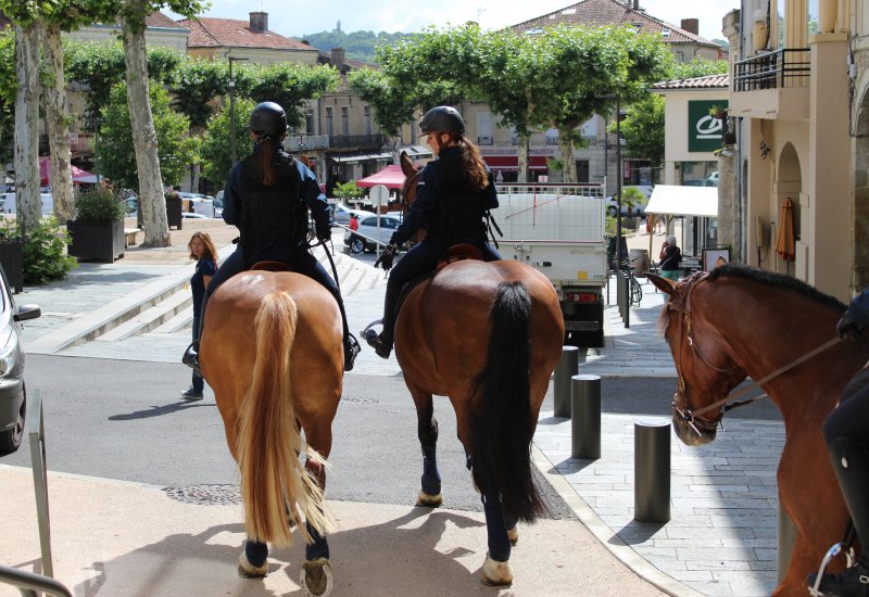 sarl Techniques Equestres Spécialisées