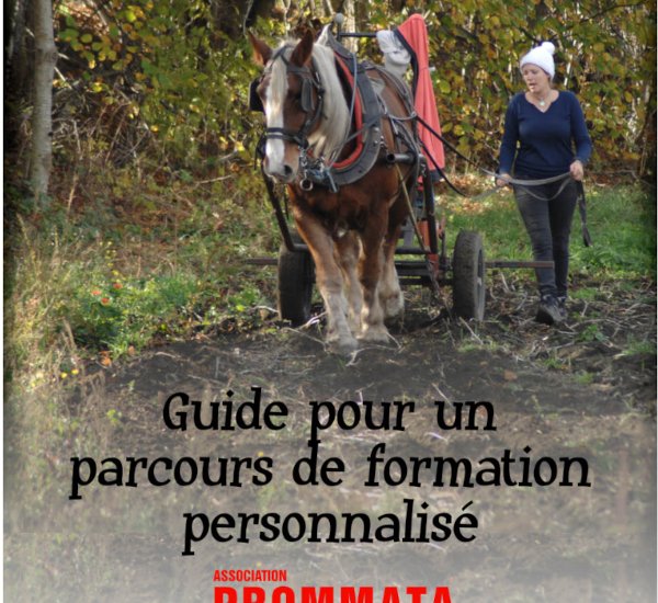 Catalogue de formations 2022 proposées par PROMMATA