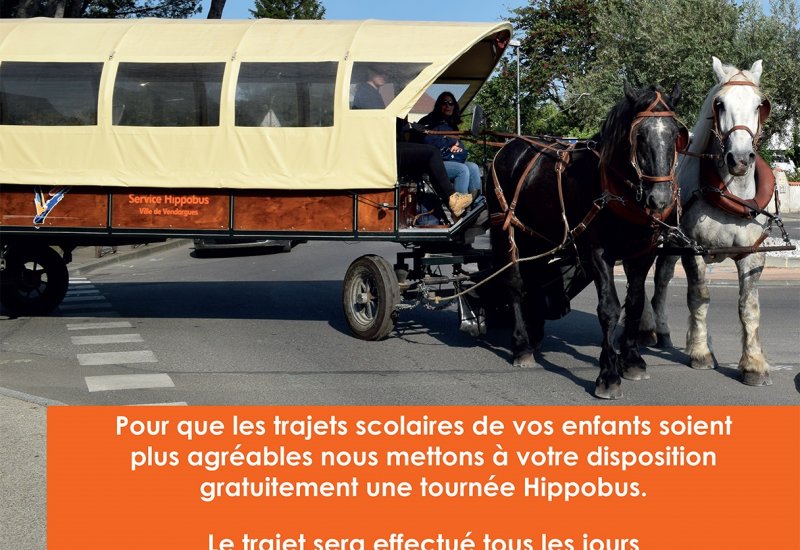 Le service hippomobile de Vendargues vu sous l'angle du travail interspécifique.