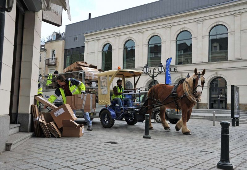 Transition énergétique : connaissez-vous l’énergie animale ?