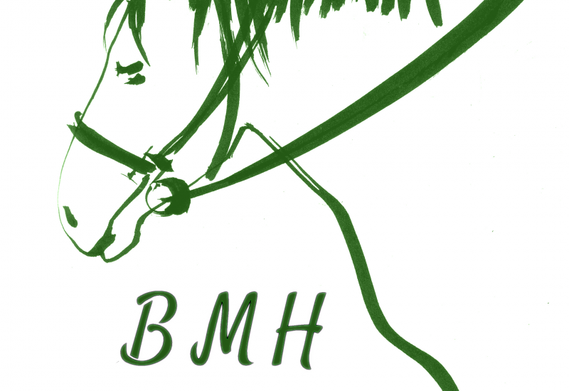 BMH