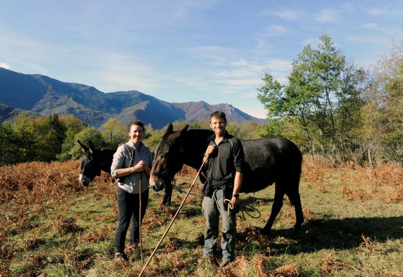 La ferme d'Oulan Bât - Eleveur/utilisateur d'ânes et mules des Pyrénées